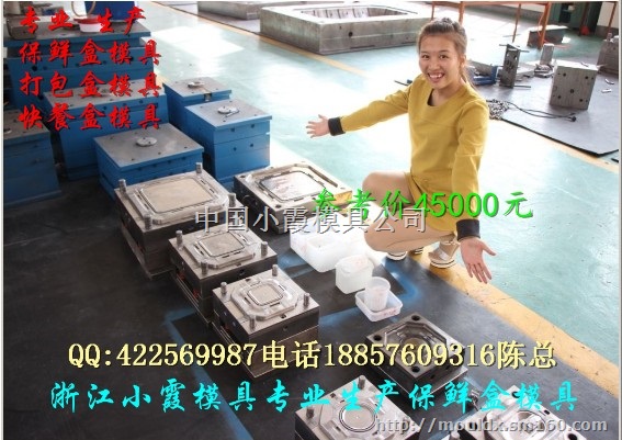 塑料模具 5000毫升注塑饭盒模具小霞地址