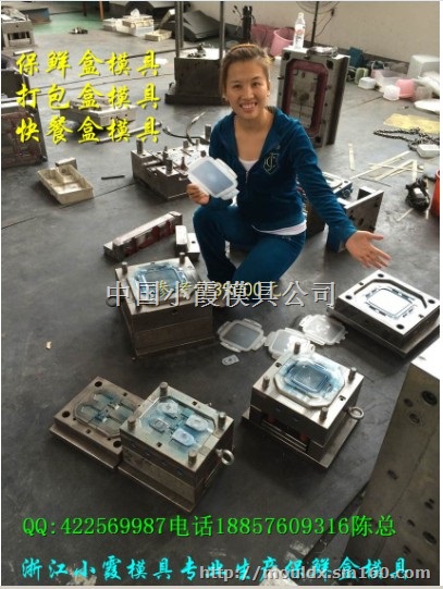 塑料模具生产 5000毫升快餐盒塑料模具中国厂