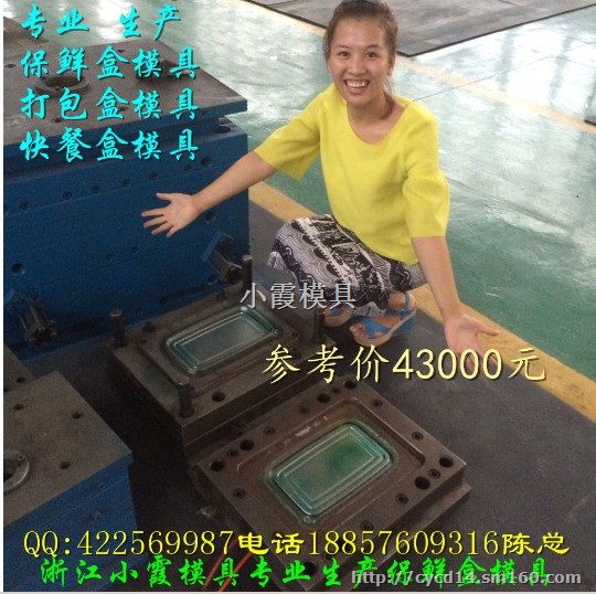 浙江薄壁打包碗塑料模具公司
