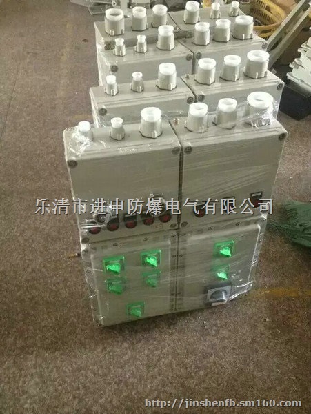 XBK防爆控制箱,BXK防爆控制箱