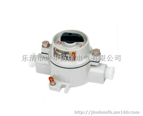 SW-10防爆照明开关