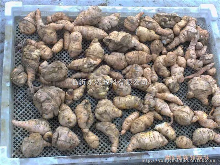 宁波食品级烘干盘，1号食品级塑料单冻器