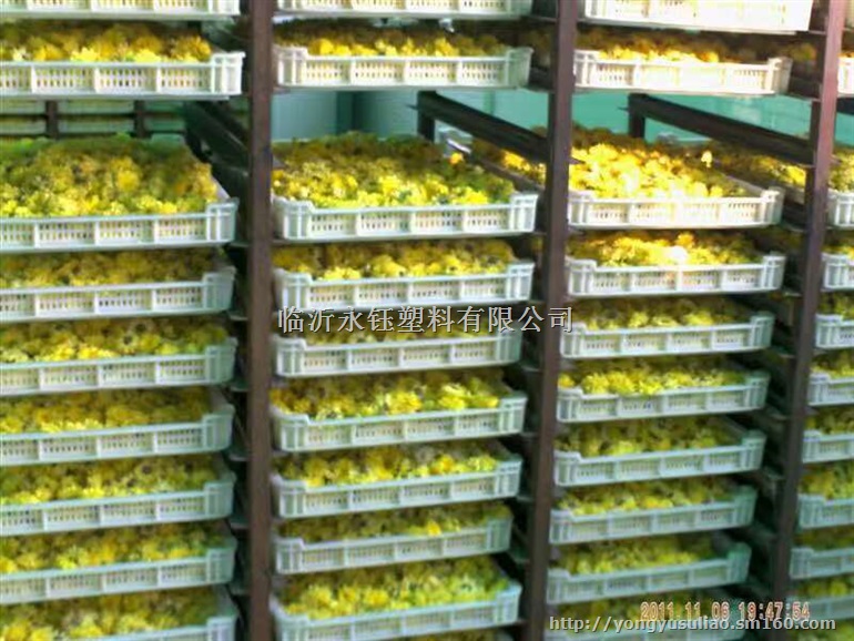 景泰塑料单冻器，白银塑料烘干盘，食品级塑料冷冻盘