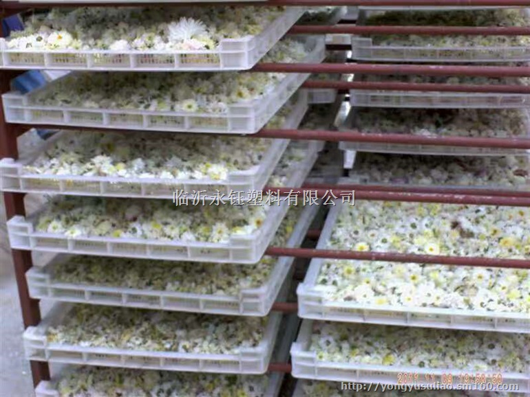 景泰塑料单冻器，白银塑料烘干盘，食品级塑料冷冻盘