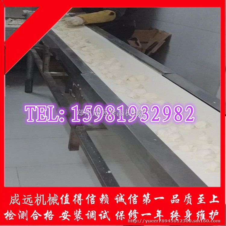 牛肉干匀摊输送隧道 分散摆头型