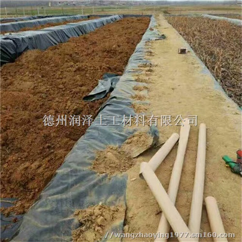 浙江0.5mm藕塘防渗膜施工