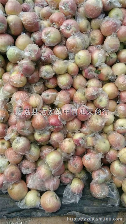 陕西红富士苹果上市价格，红富士苹果批发价格