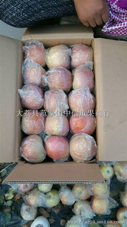 陕西冷库红富士苹果价格，冷库红富士苹果批发价格