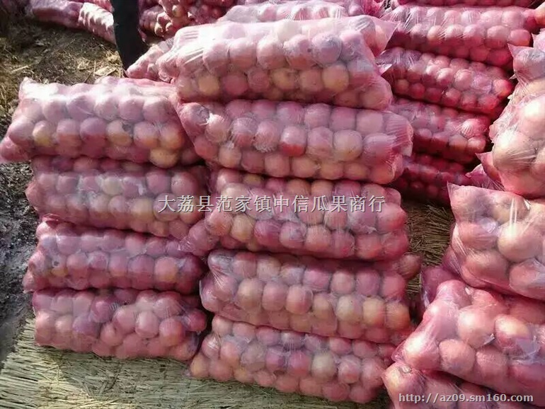 陕西冷库红富士苹果价格，冷库红富士苹果批发价格