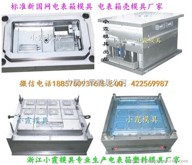 台州模具制造 单相十二电表箱模具供应商地址