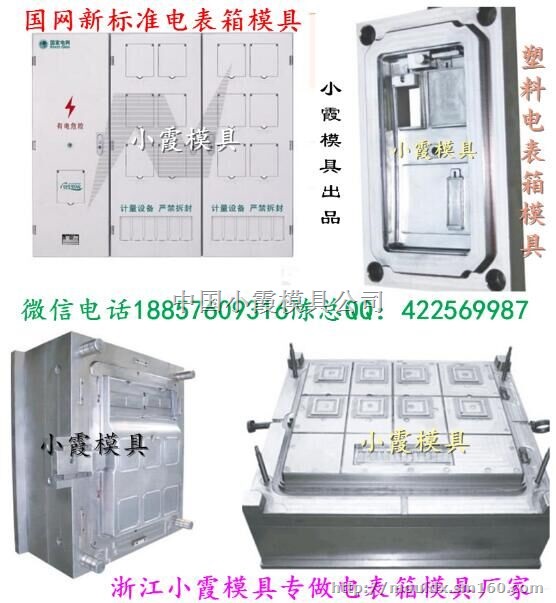 黄岩模具生产 国网新标准单相2电表箱塑料模具开模