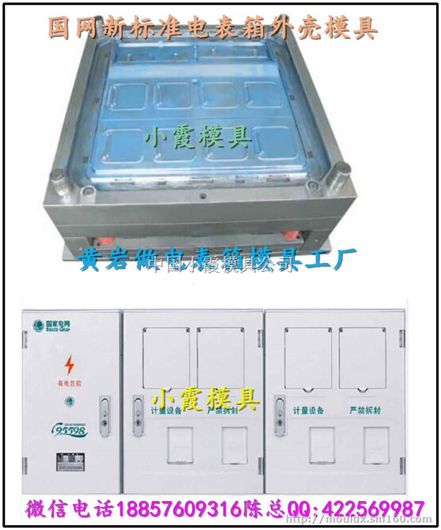 黄岩模具生产 国网新标准单相2电表箱塑料模具开模