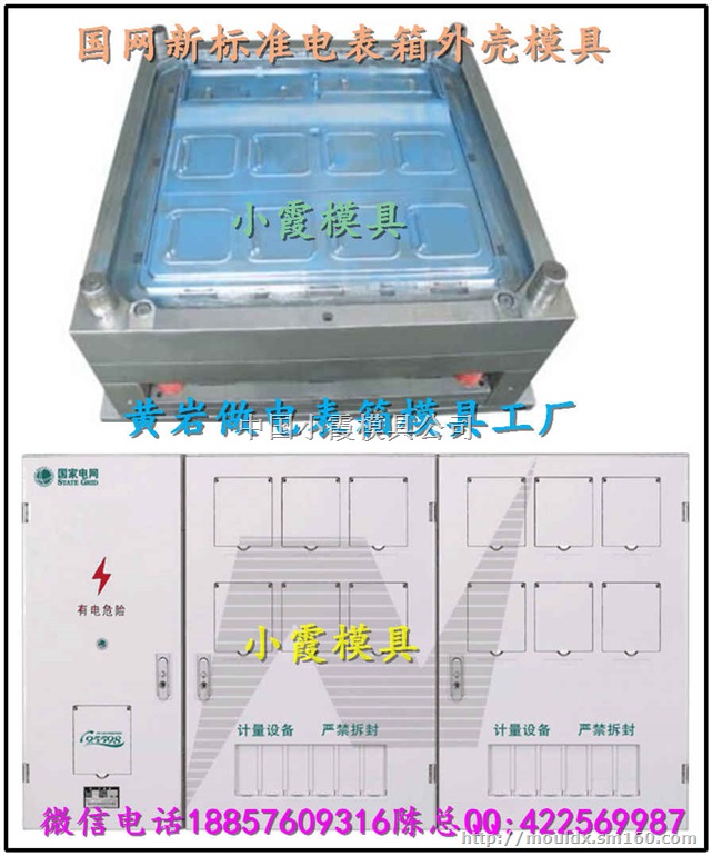 台州模具生产国网新标准单相2电表箱塑料模具专业厂家