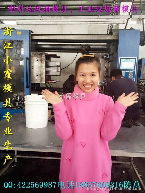 注塑模具厂 160升垃圾车注塑模具谁家专做