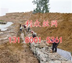 固滨笼护坡施工方案