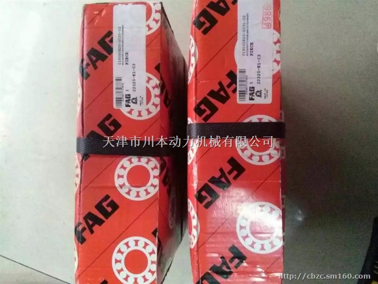 22320-E1-C3原装进口轴承FAG调心滚子轴