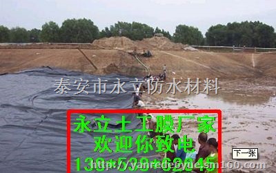 平顶山莲藕种植膜调节池养殖膜一亩地用多少