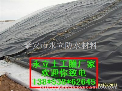 平顶山莲藕种植膜调节池养殖膜一亩地用多少