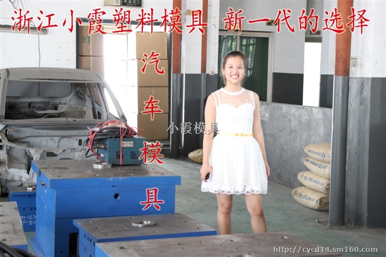 模具公司 凌特车改装格栅内饰注射件模具哪买好