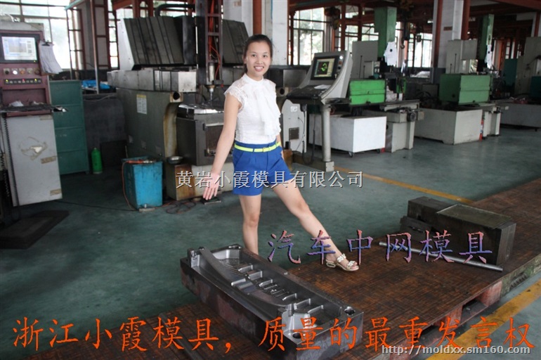 塑胶模 麒麟X1车改装注塑汽车外饰配件模具浙江厂