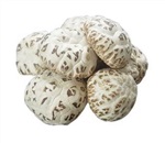 求购香菇木耳银耳