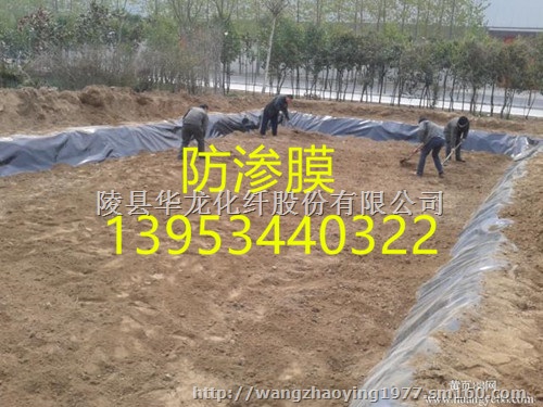 河北浅水藕专用防渗膜生产商