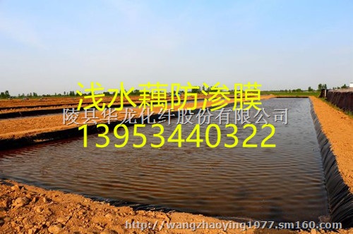 河北浅水藕专用防渗膜生产商