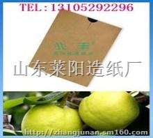 优质枇杷套袋，大号枇杷袋13105292296
