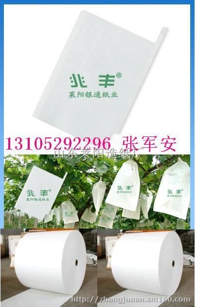 优质枇杷套袋，大号枇杷袋13105292296