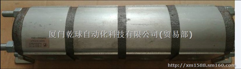 意大利罗茨泵03ZAG30C048R现货