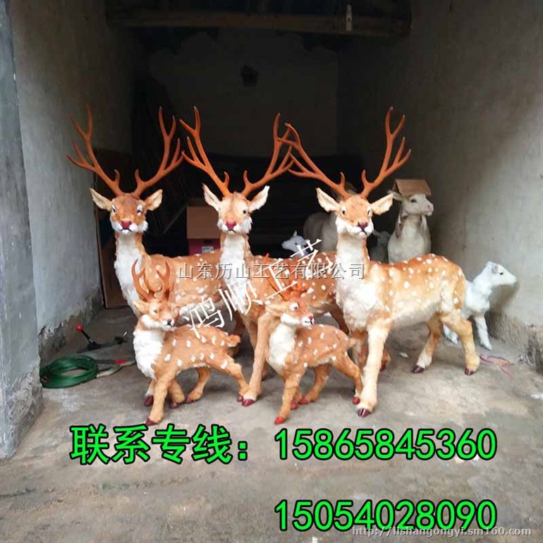 仿真梅花鹿模型鸿顺制作鹿标本