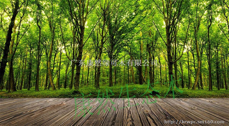 中山康然生态木厂家直销防潮天花吊顶3Duv背景墙板