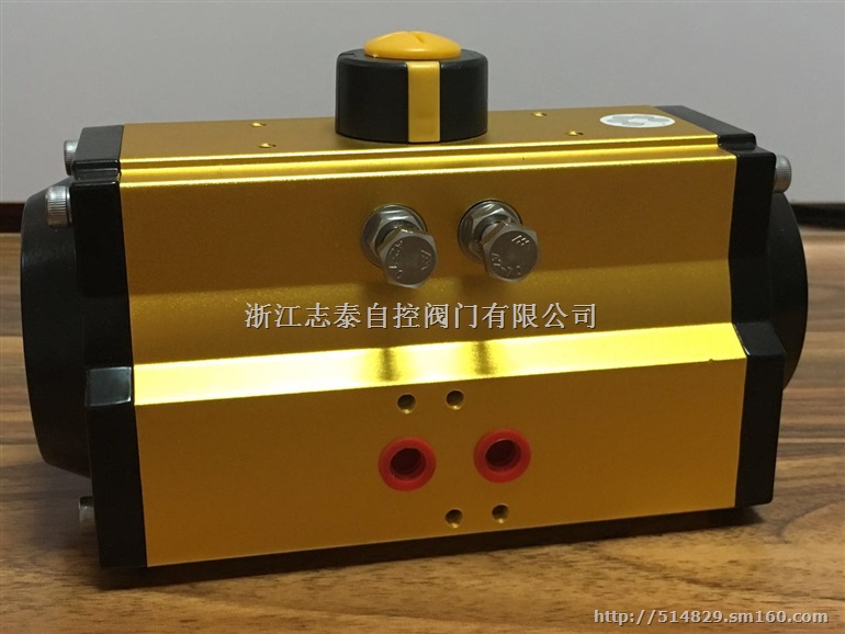 120°/180°角行程双作用执行器