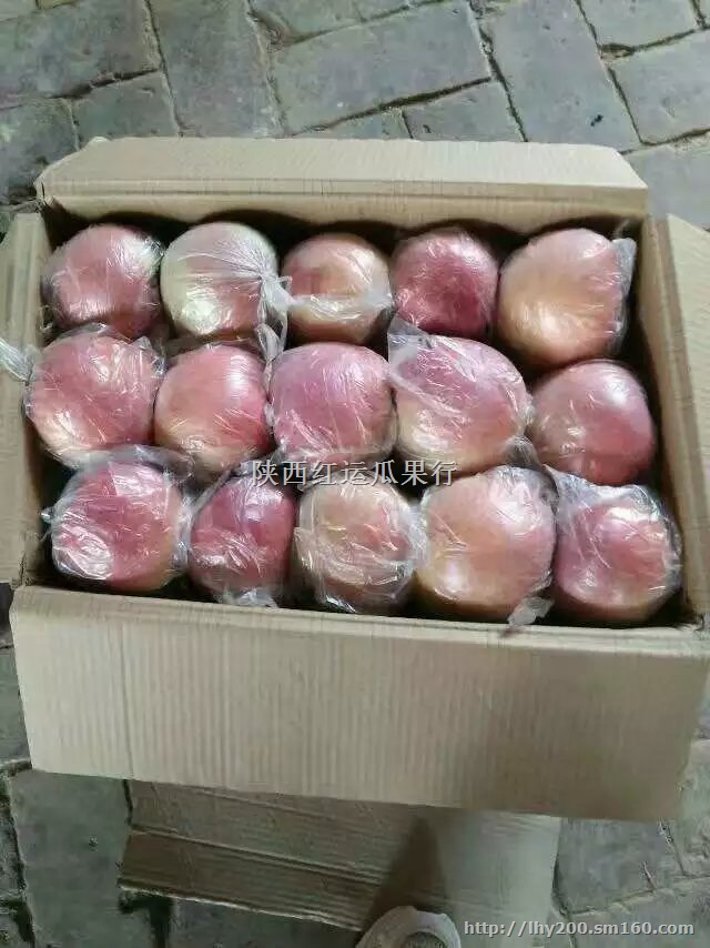 高原红苹果价格陕西红富士苹果批发苹果代办