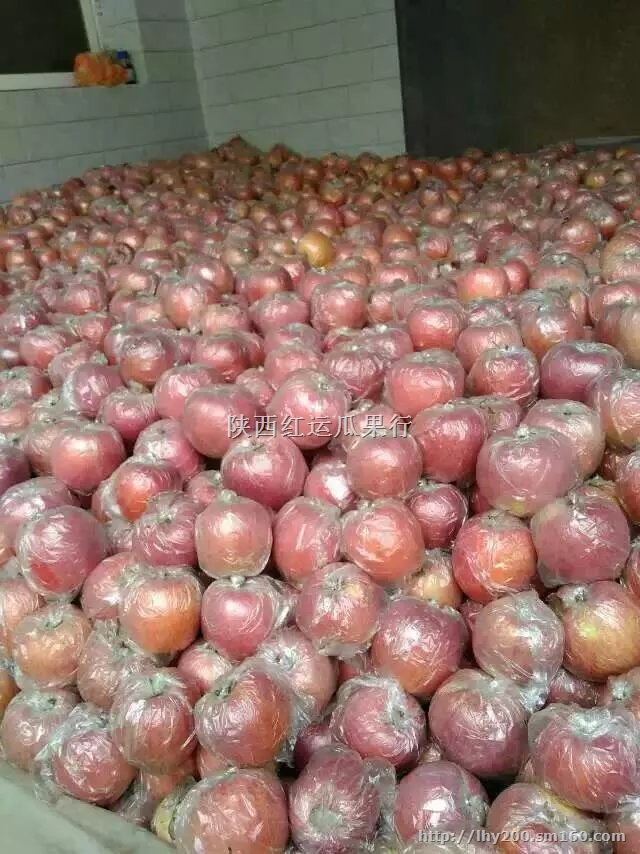 高原红苹果价格陕西红富士苹果批发苹果代办