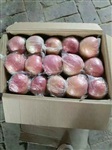 膜袋红富士苹果基地批发价格行情