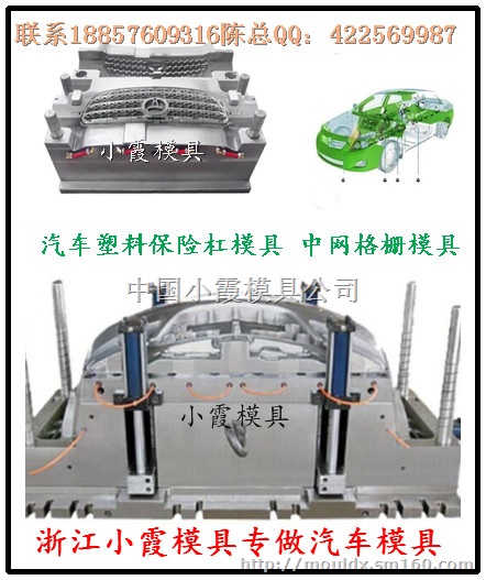 中国做大型改装汽车塑胶外饰注塑件模具价格