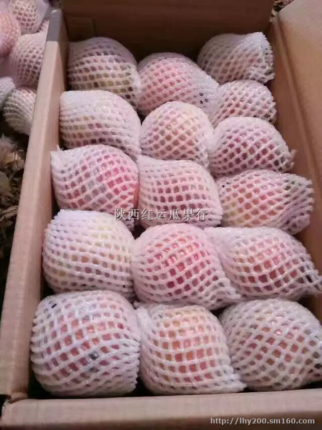 红富士苹果价格陕西红富士苹果基地价格