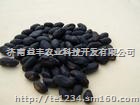 优质黑霸一号 黑花生种子袋装精选