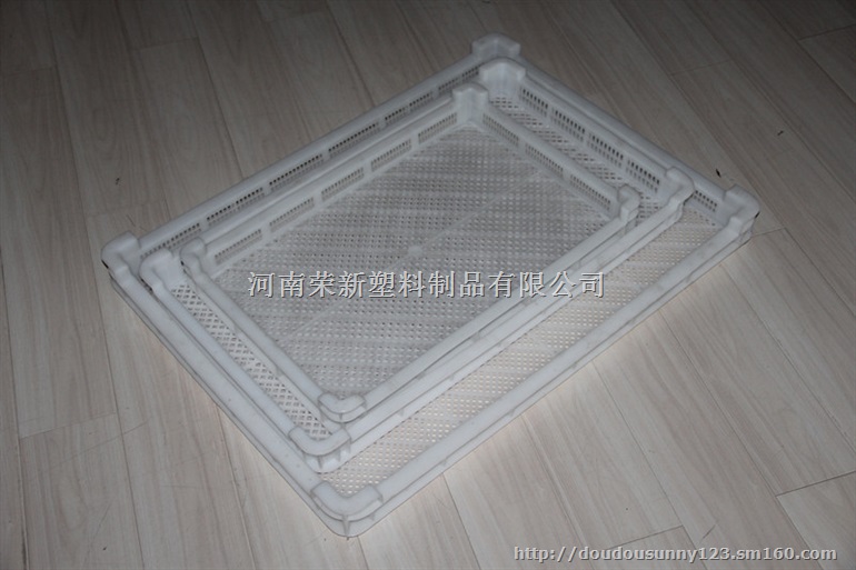 济南市单冻器,德州市冷冻筐,滨州市烘盘,东营市单冻