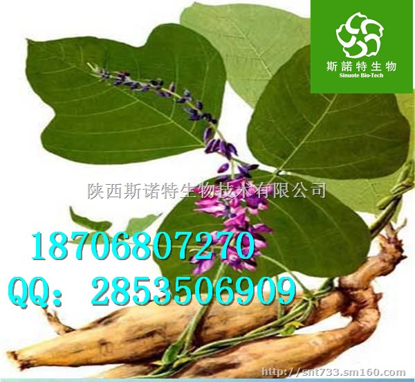 葛根提取物作用 葛根粉直销