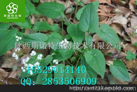 何首乌提取物作用 何首乌粉直销