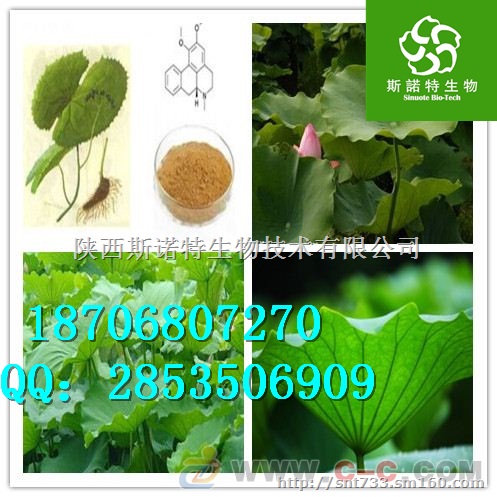荷叶提取物作用 荷叶粉直销