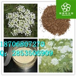 黑胡椒提取物作用 黑胡椒粉直销