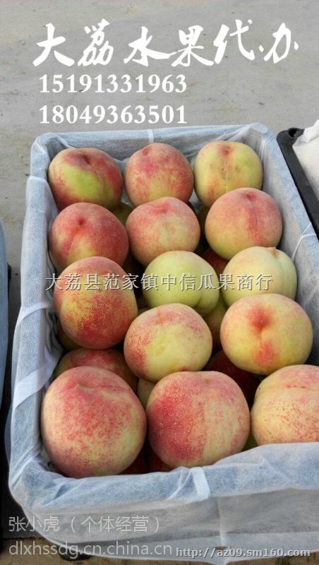 2018毛桃夏之梦毛桃行情陕西突围毛桃批发价格