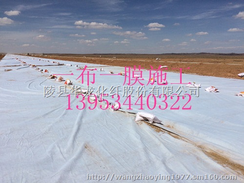 山西太原500克一布一膜价格