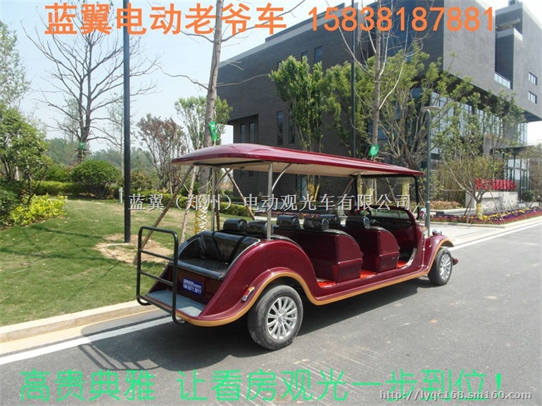 河南电动看房车