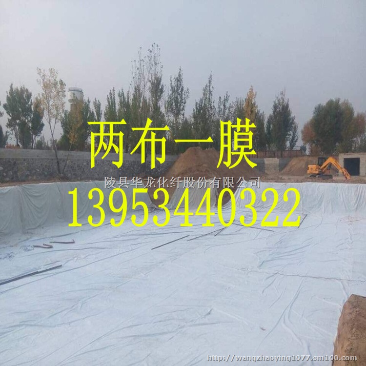 广东高速公路分隔带专用550克两布一膜厂家
