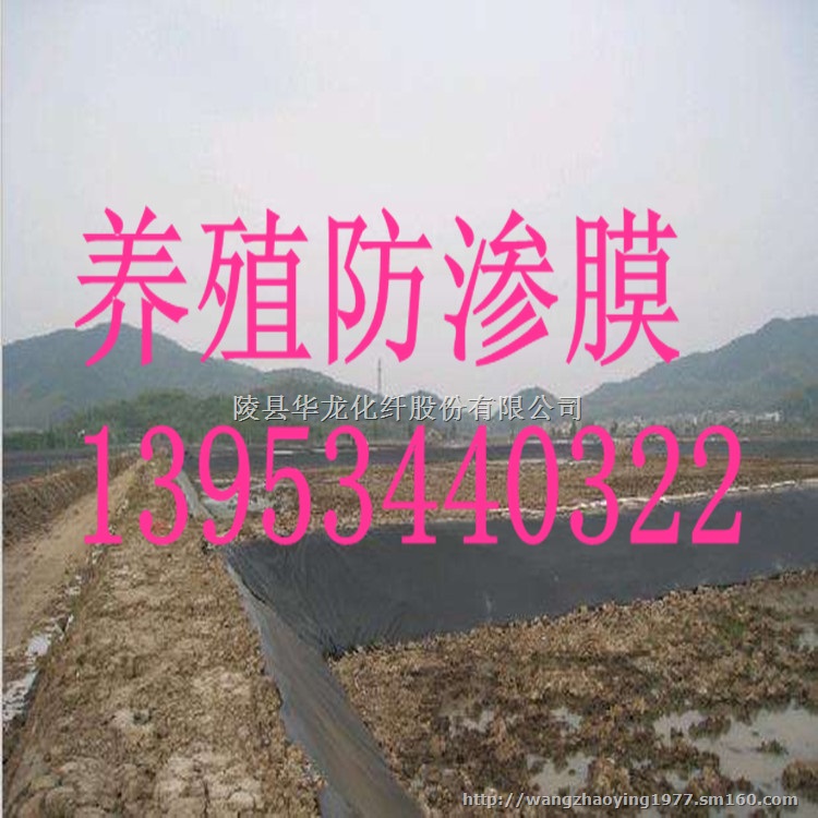 山东青岛0.5mm鱼塘防渗膜厂家
