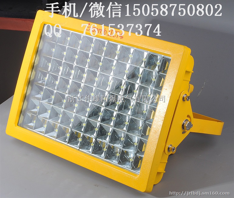 LED防爆应急照明灯